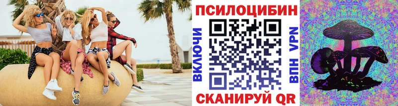 МЕГА ТОР  Яровое  Псилоцибиновые грибы Cubensis  закладки 